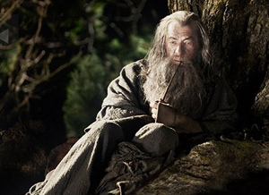 ���-����������� ����� ���� 2012 �����: ���������� �����������